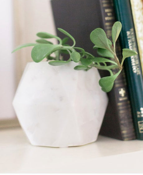 White Marble Vase / Planter