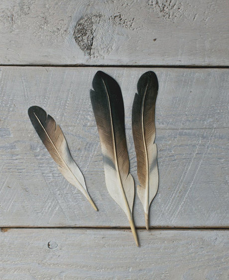 Feather Display